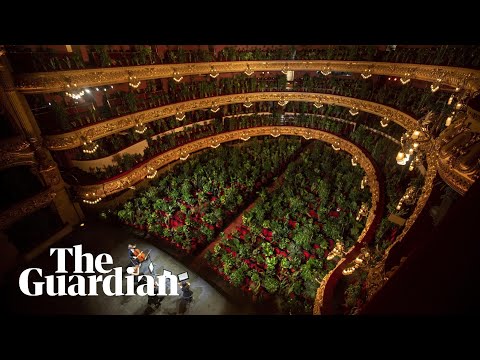 Barcelona opera reopens with performance for more than 2000 potted plants
