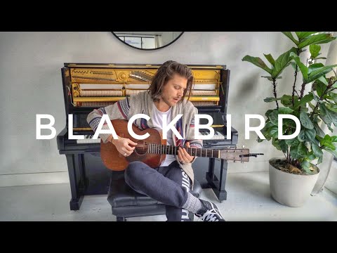 Blackbird (Acoustic Cover) – Cory Asbury