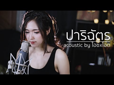 RachYo-ปาริฉัตร | Acoustic Cover By ไอซ์ x โอ๊ต