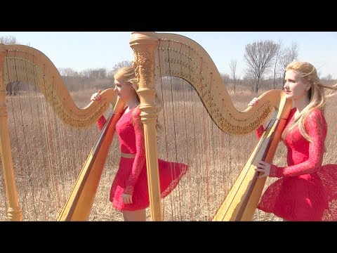 Twin Problems and other Bloopers! (Harp Twins)